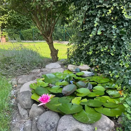 빌라 Yura Wellness V Cene!! *